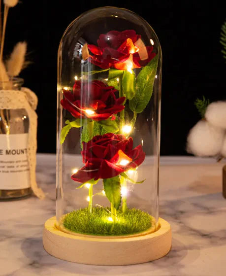 Preserved Luxury Rose Display