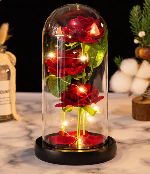 Preserved Luxury Rose Display